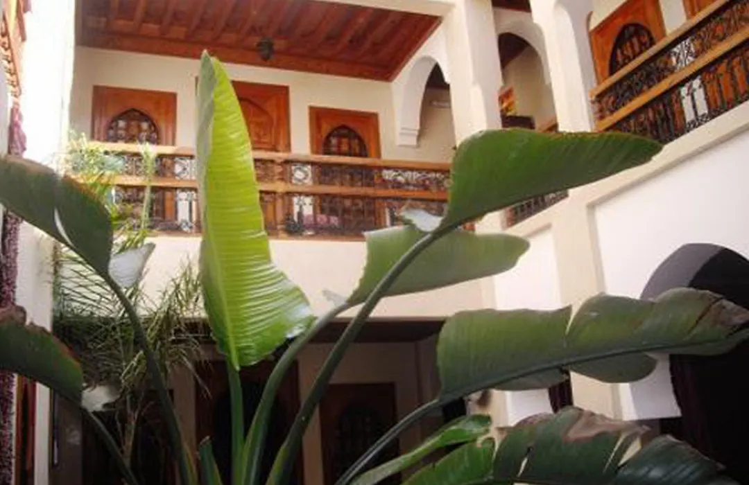 Riad Dubai-1